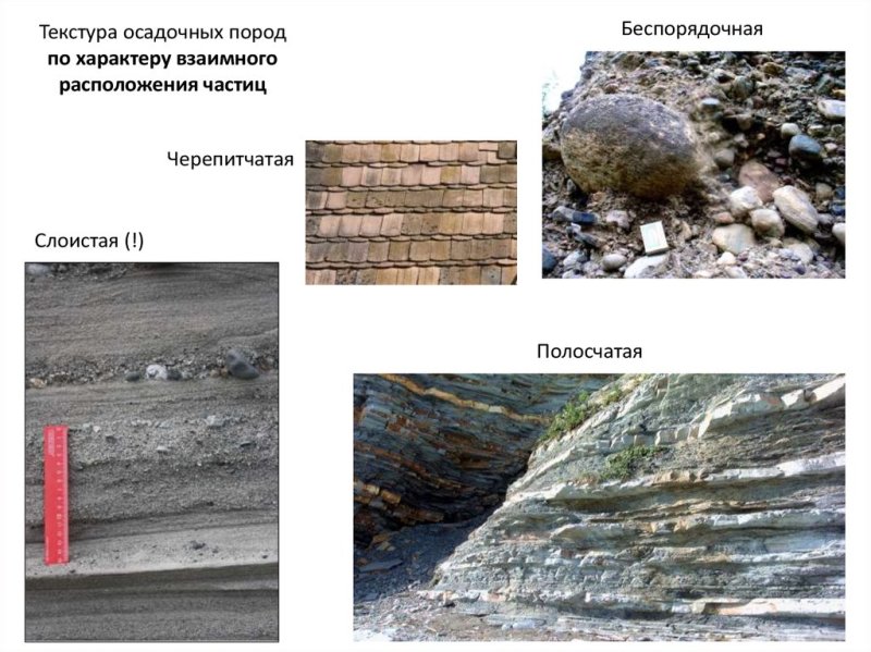 Текстура и структура осадочных пород