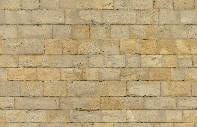 Известняк Shelly limestone