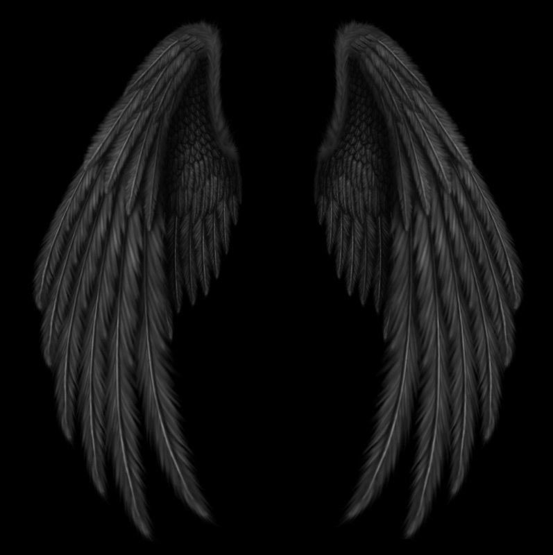 Черные Крылья