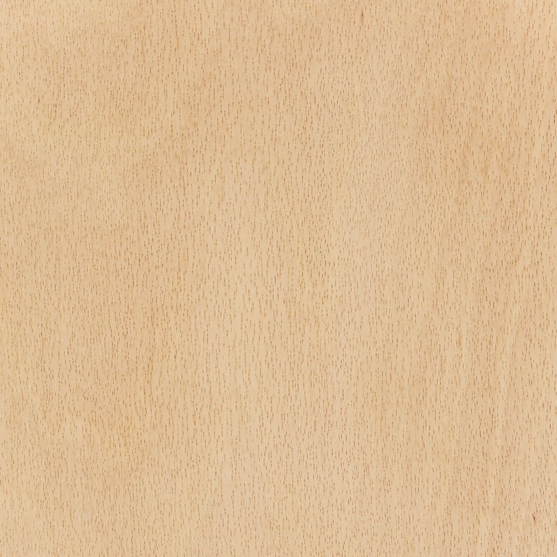 Фактура дерева бук