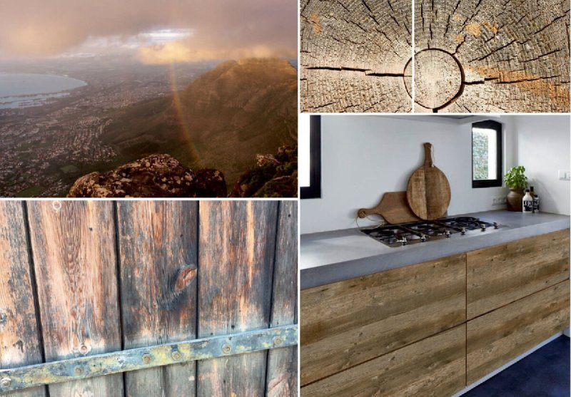 Дуб Кейптаун Ламарти