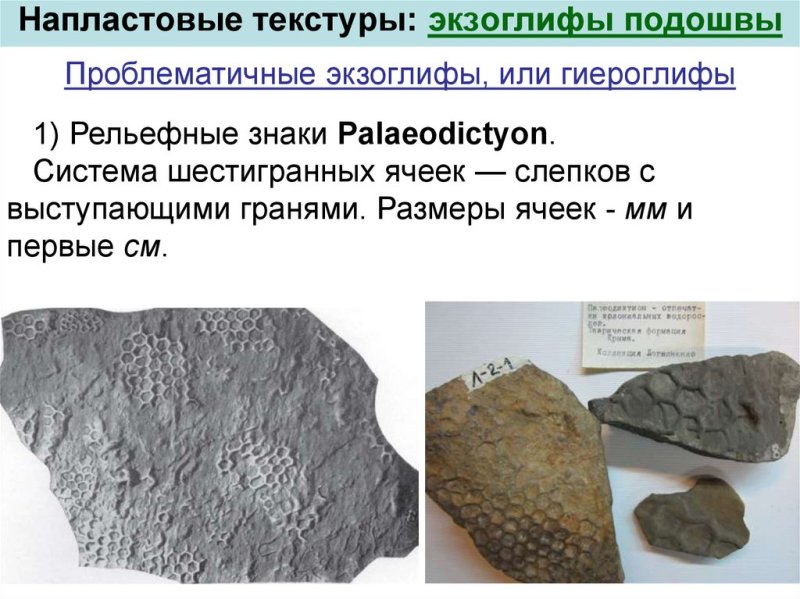 Проблематичные породы