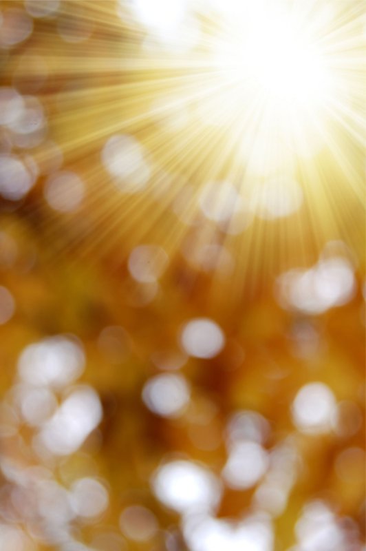 Солнечные блики