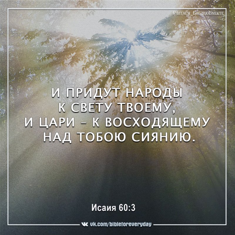 Солнечные лучи