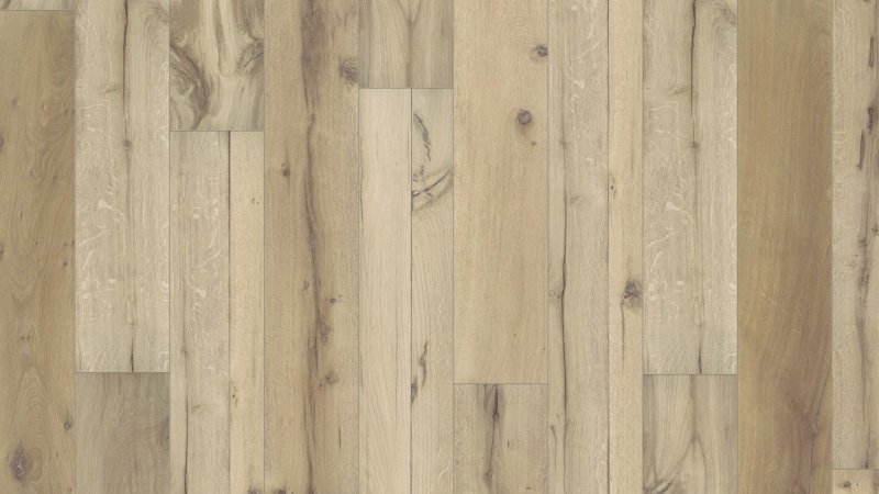 Древесина акации текстура бесшовная