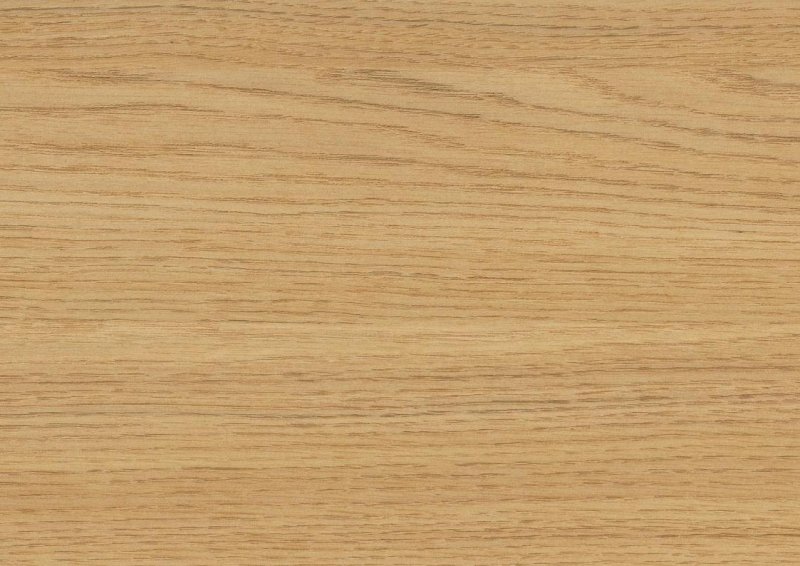 Вишня Верона h1615 st9