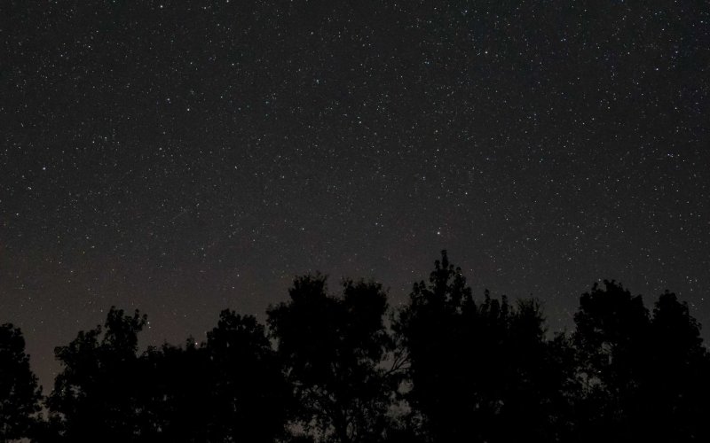 Ночное звездное небо