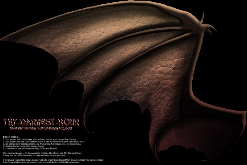 Крылья драконов