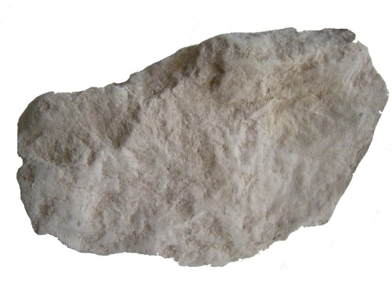 Диатомит Горная порода