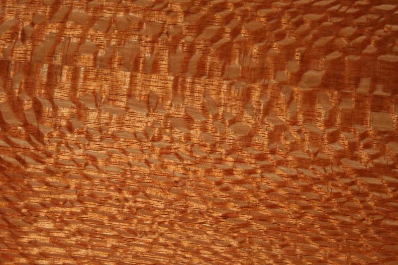 Змеиное дерево лайсвуд