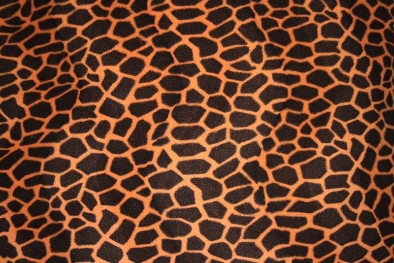 Леопардовая шкура