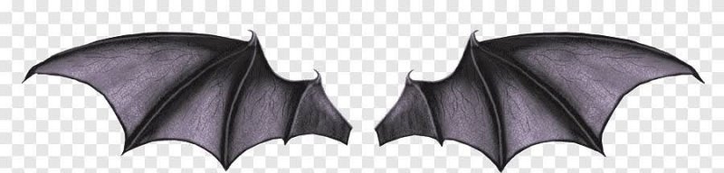 Крылья летучей мыши сбоку