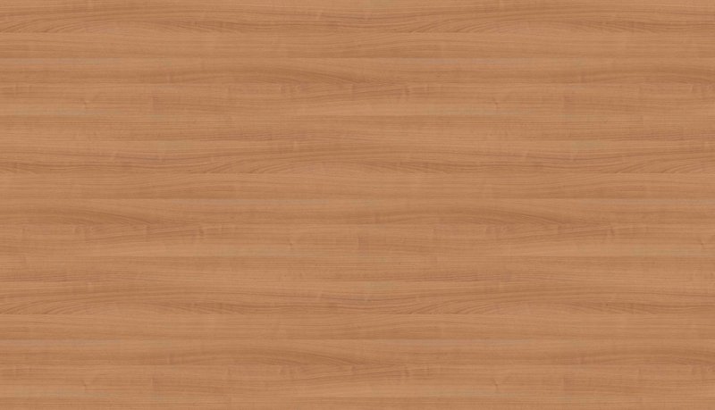 Вишня Верона h1615 st9