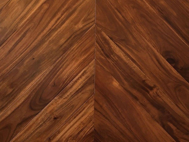 Сукупира французская елка Wood Bee