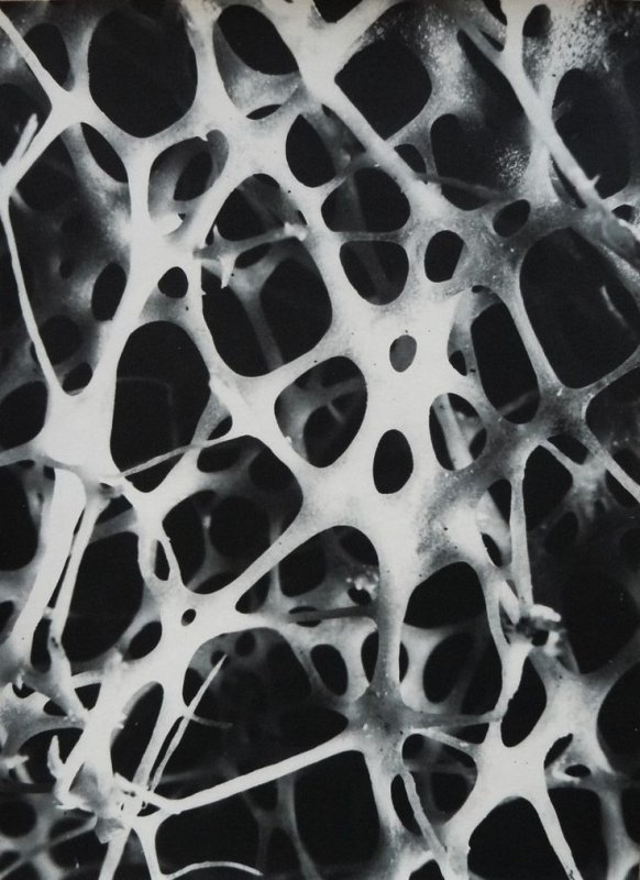 Органическая текстура