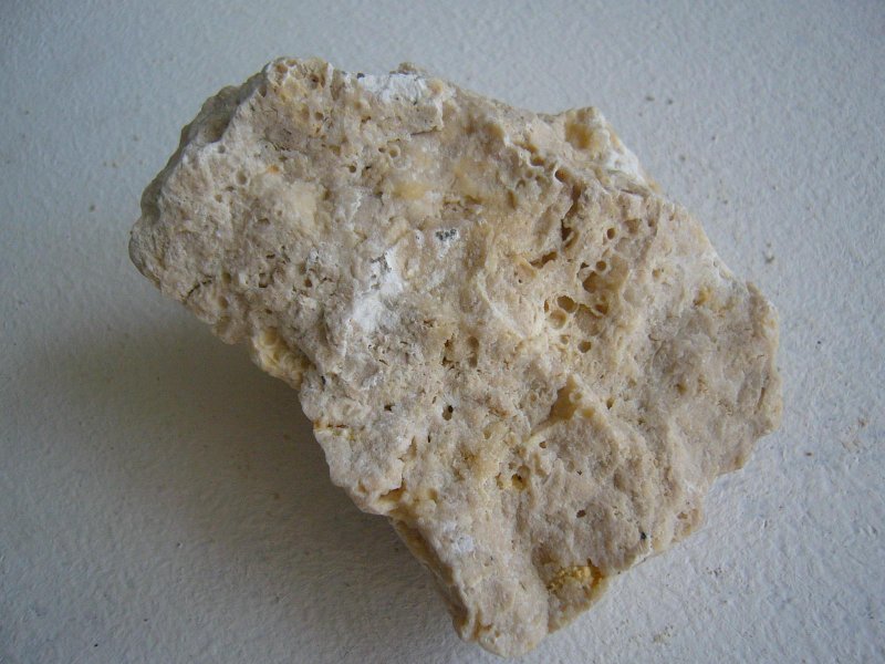 Диатомит Горная порода