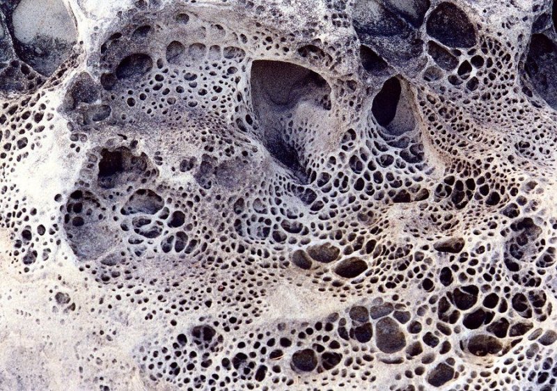 Текстура кости