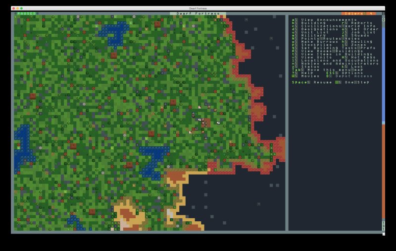 Dwarf Fortress 2002