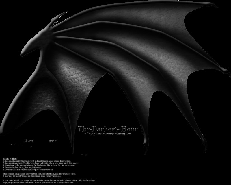 Драконьи Крылья