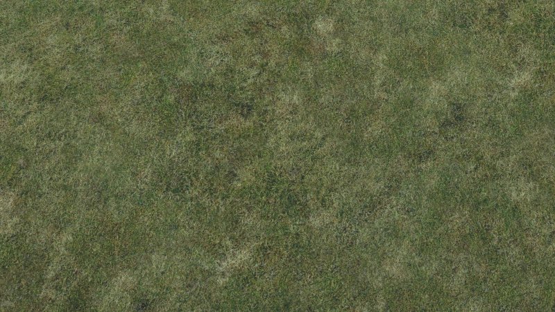 Газон текстура бесшовная