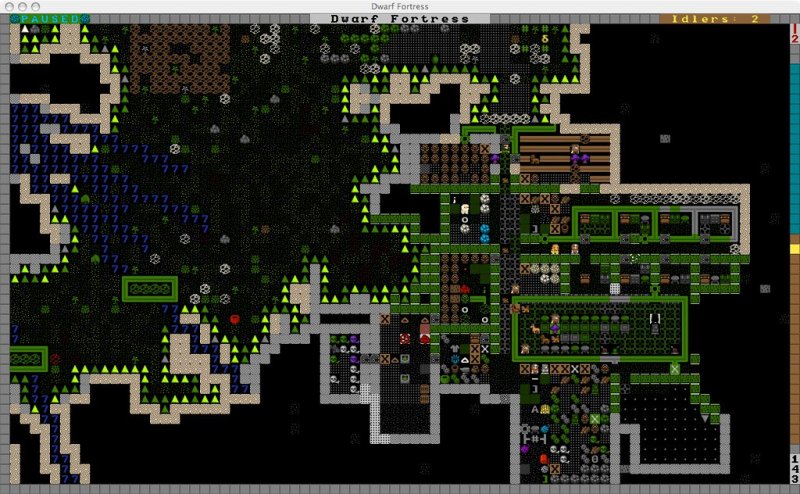 Дварф фортресс 2006