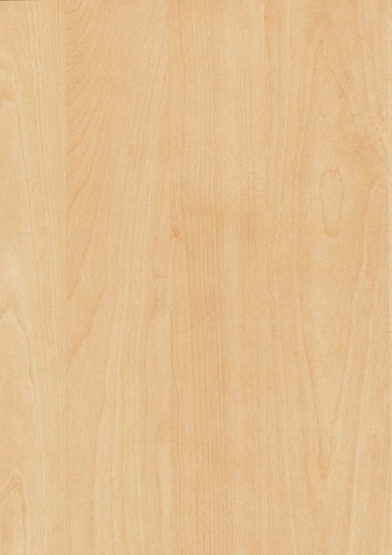 Фактура дерева береза