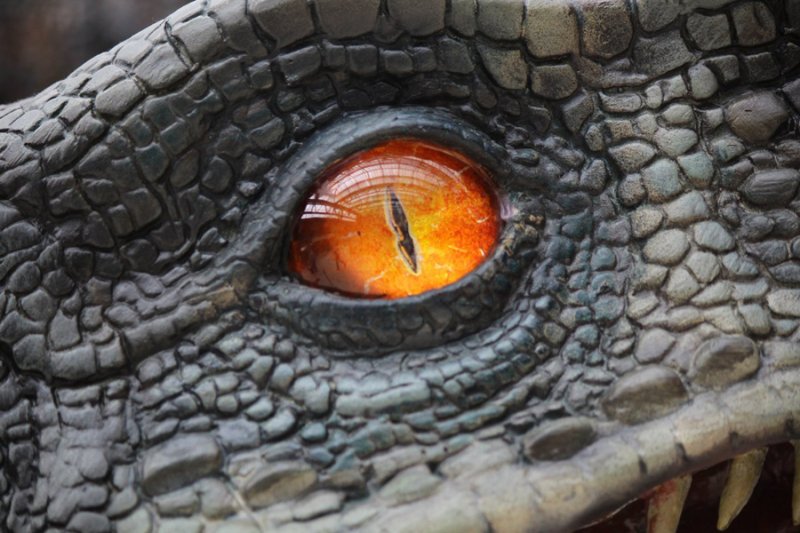 Глаз динозавра мир Юрского периода
