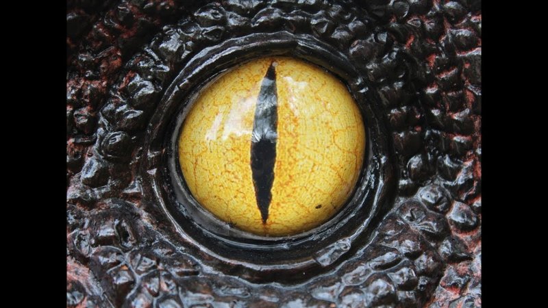 Глаз динозавра