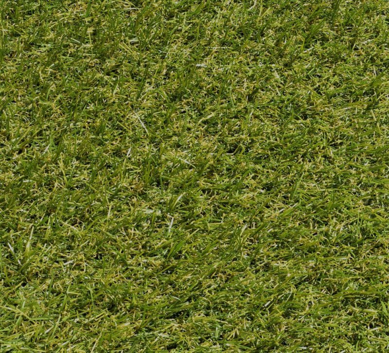 Фактура травы