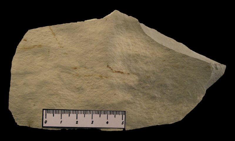 Мергель Горная порода