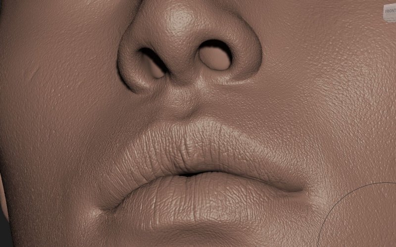 Кожа Zbrush Alpha