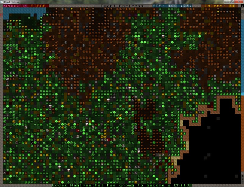Dwarf Fortress 2022