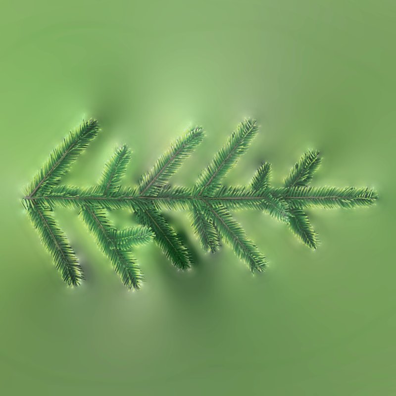 Ветка Еловая