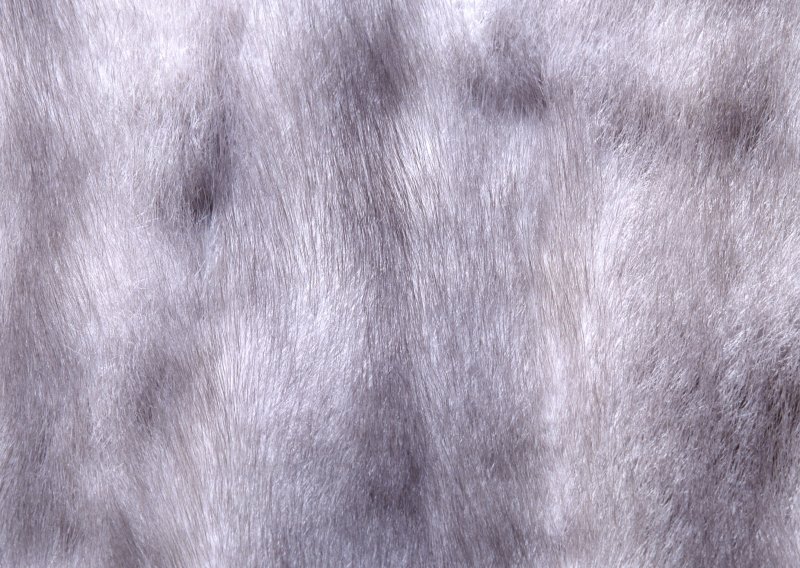 Шкура текстура