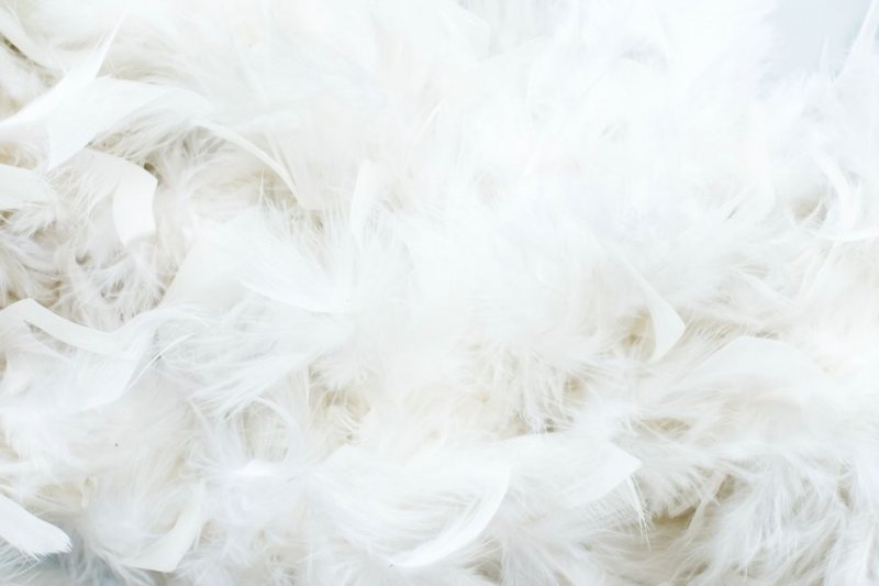 Белоснежные перья
