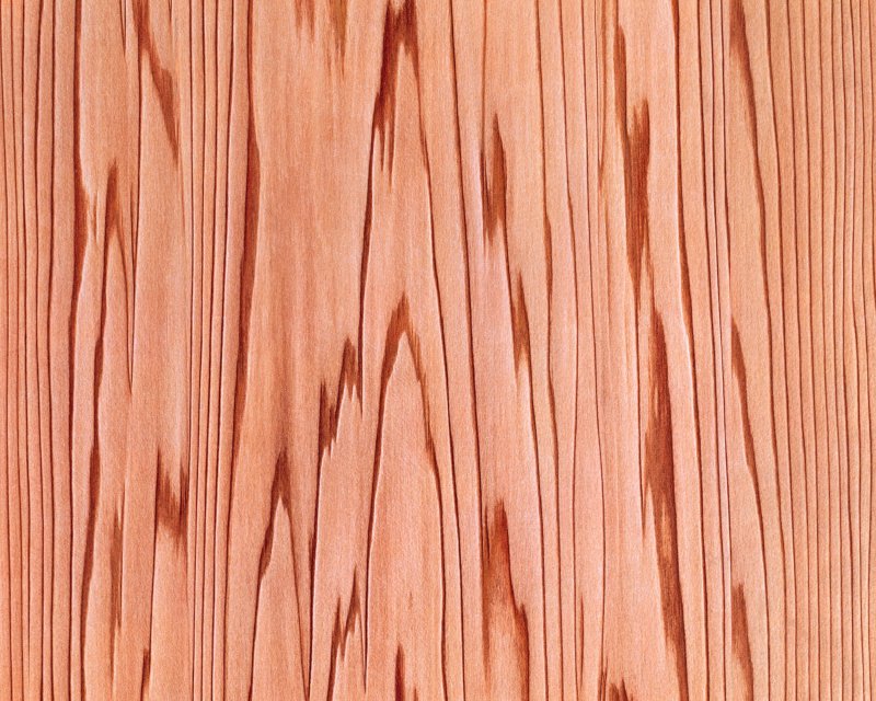 Граб текстура древесины