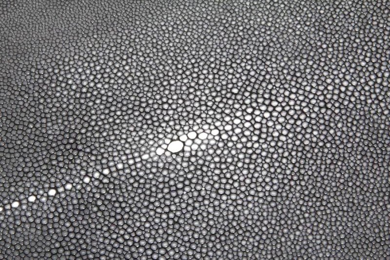 Шлифованная кожа ската