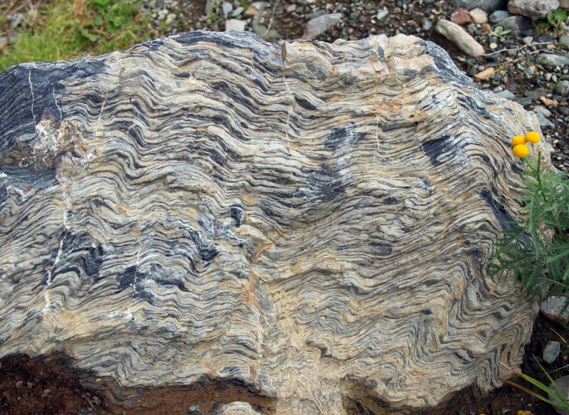 Плойчатая текстура метаморфических пород