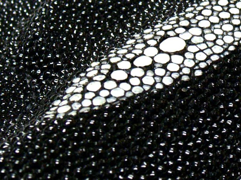 Кожа морского ската