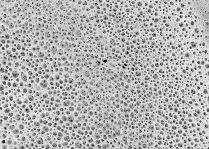 Пористая текстура