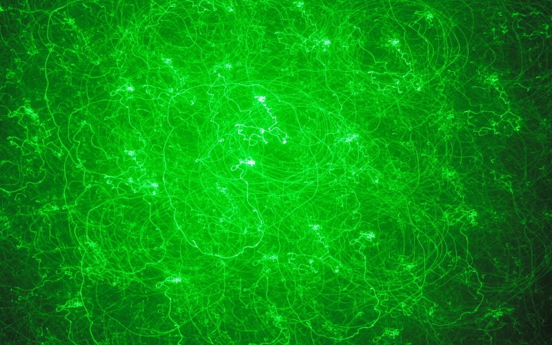 Неоновый зеленый цвет
