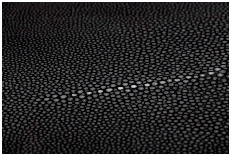 Кожа ската полированная