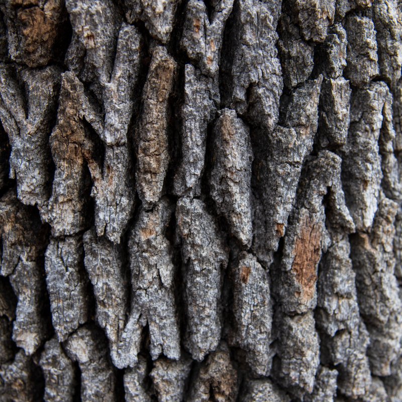 Шершавая поверхность дерева