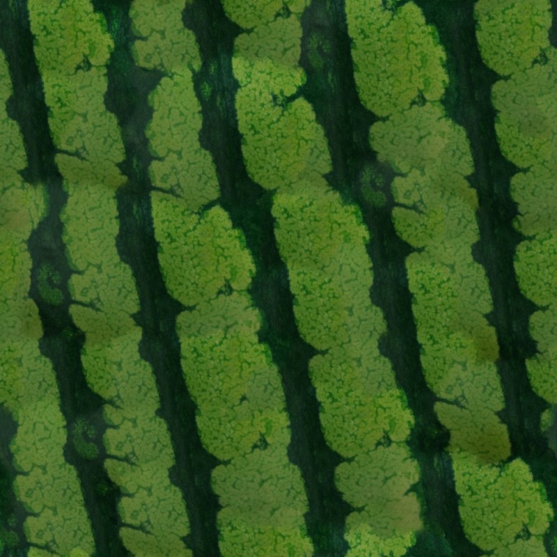 Текстура арбуза