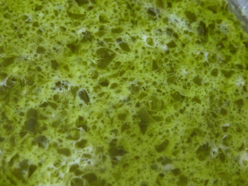 Зеленая слизь