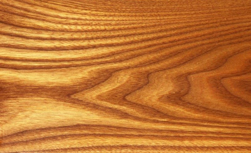 Фактура дерева