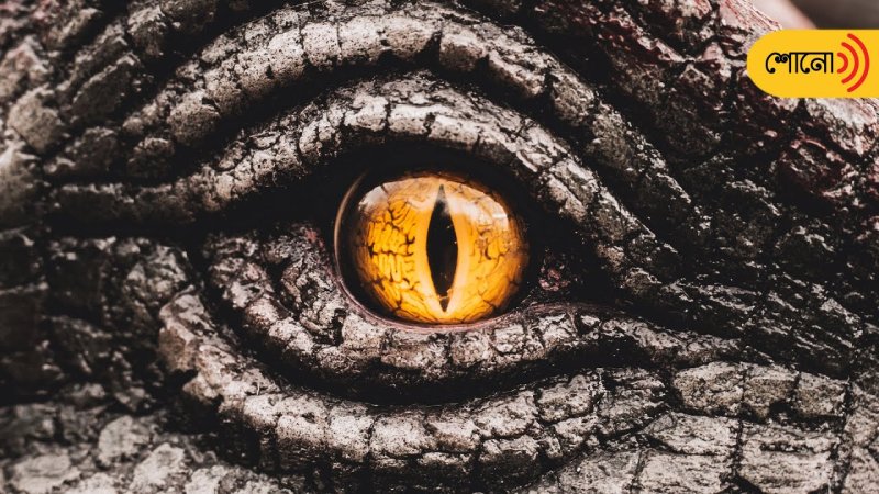 Глаз динозавра