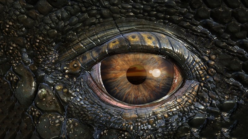 Морские динозавры 3d: путешествие в доисторический мир фильм 2010