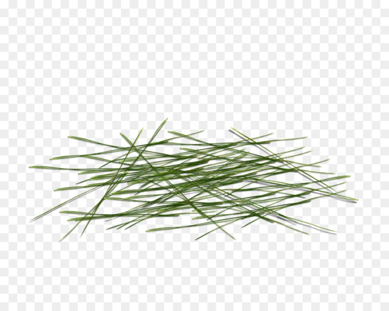 Трава на плакате