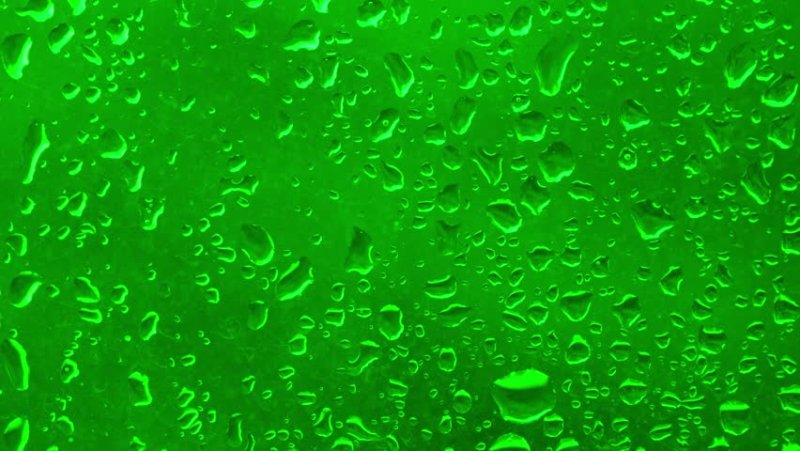 Зеленая слизь